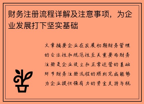 财务注册流程详解及注意事项，为企业发展打下坚实基础