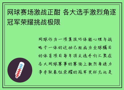网球赛场激战正酣 各大选手激烈角逐冠军荣耀挑战极限