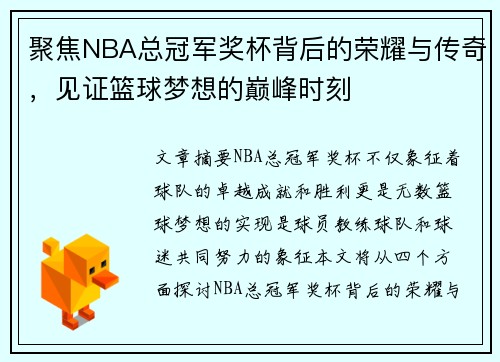 聚焦NBA总冠军奖杯背后的荣耀与传奇，见证篮球梦想的巅峰时刻